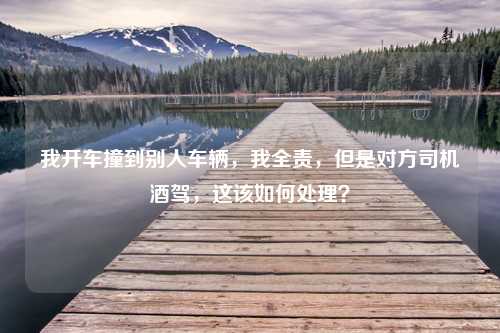 我开车撞到别人车辆，我全责，但是对方司机酒驾，这该如何处理？ 生活