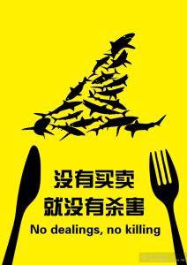 法人买车贷款_法人代表的车可以抵押贷款吗_法人抵押贷款车代表可以过户吗