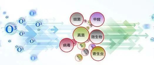 【小知识】新车除味的10种方法！值得收藏插图21