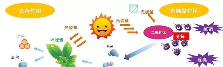 新车怎么去甲醛和异味_甲醛异味新车去甲醛吗_甲醛异味新车去除方法