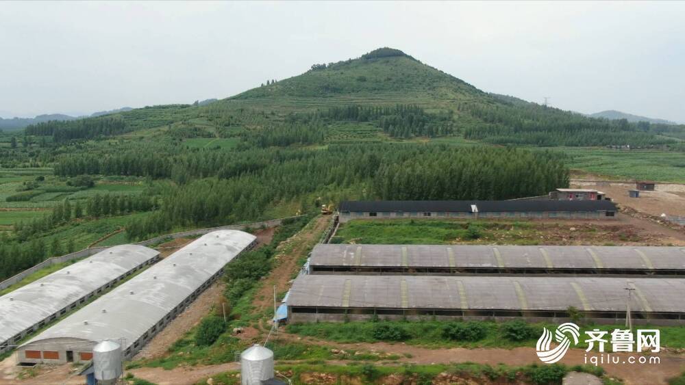 山东临沂抵押车_抵押贷款车辆市临沂能过户吗_临沂市车辆抵押贷款