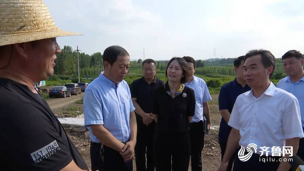 山东临沂抵押车_临沂市车辆抵押贷款_抵押贷款车辆市临沂能过户吗