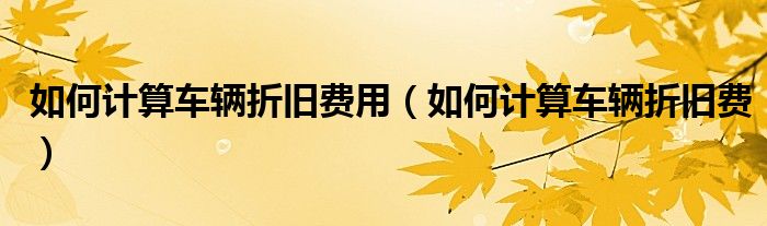 事故中车辆折旧费_折旧事故算车辆车损吗_事故车车辆折旧怎么算