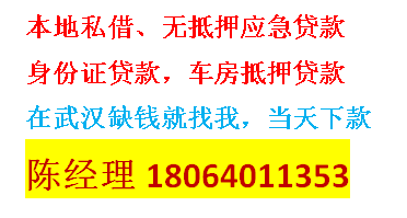 东西湖汽车抵押贷款_车拿去抵押贷款_车辆抵押贷款车还在你名下吗