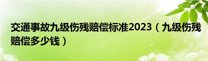 车祸九级赔偿金怎么算_车祸事故九级赔偿_车祸9级赔偿